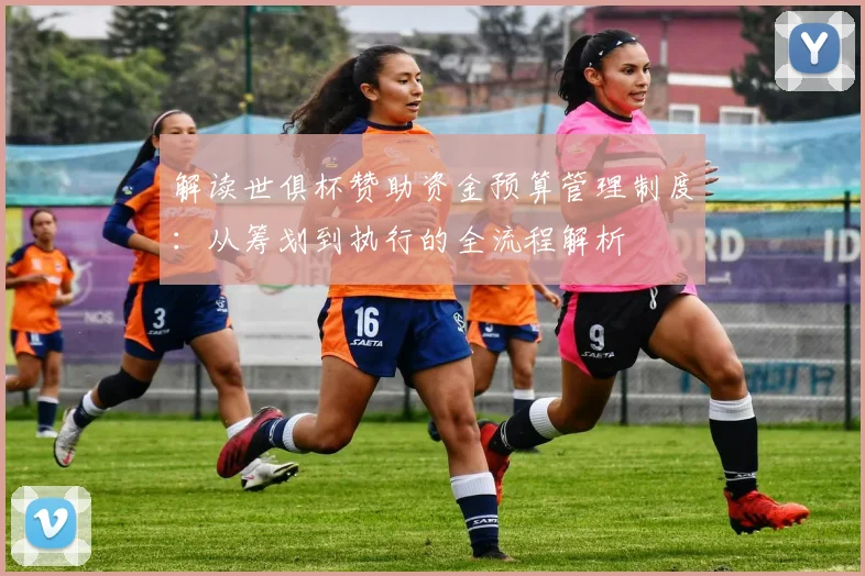 解读世俱杯赞助资金预算管理制度：从筹划到执行的全流程解析